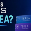 Complete Guide to TEREA