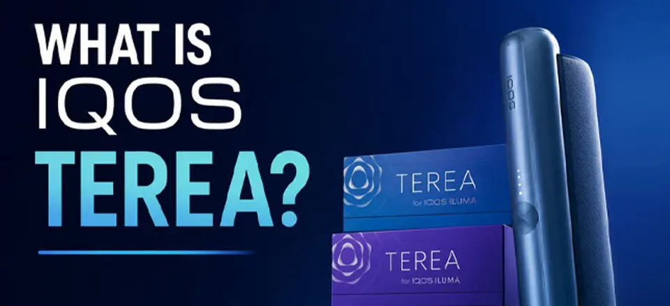 Complete Guide to TEREA