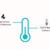 IQOS vs Cigarettes